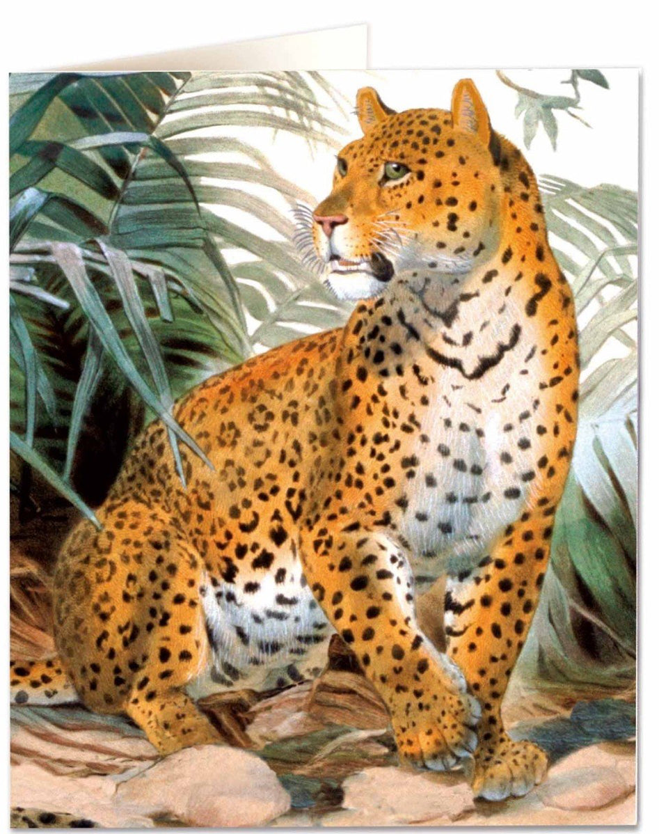 Leopard Card