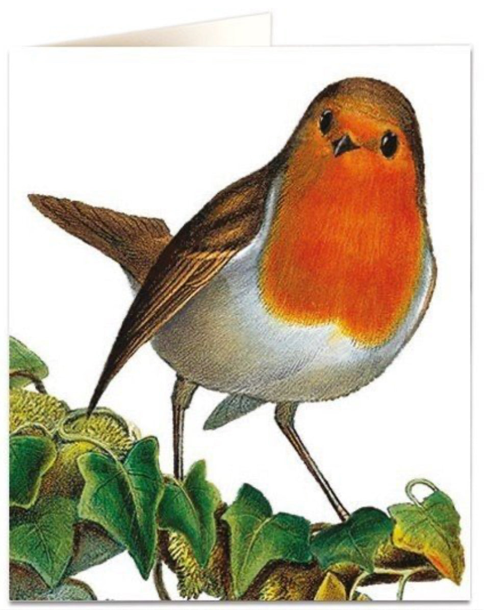 Robin Card