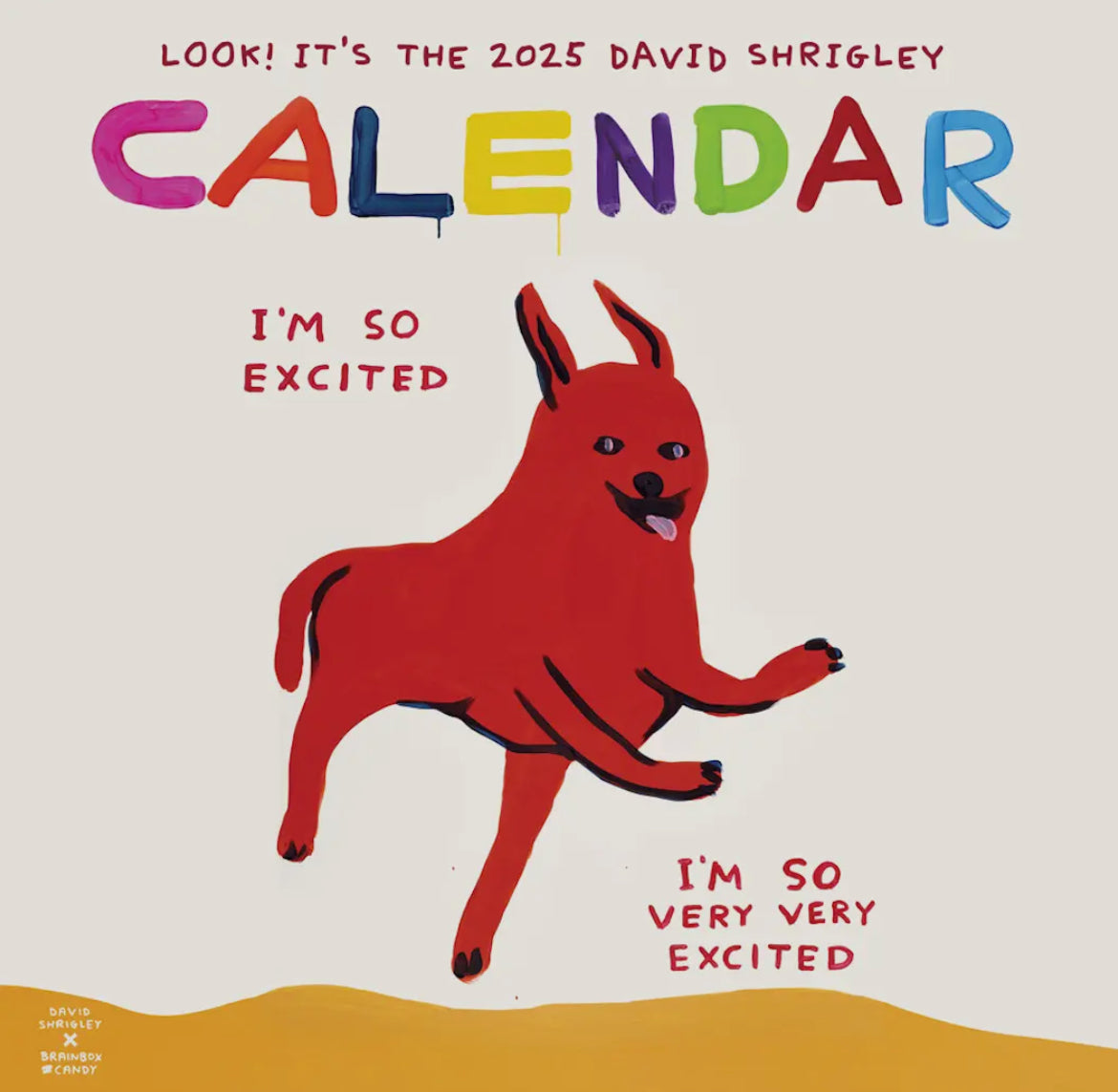 David Shrigley 2025 Calendar