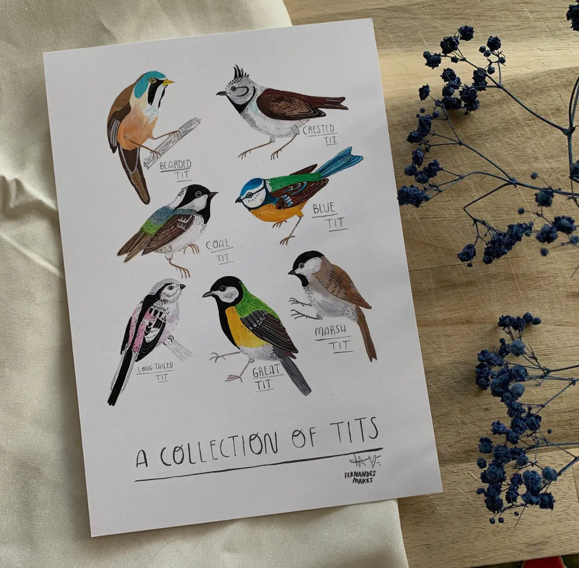 Collection of Tits Art Print