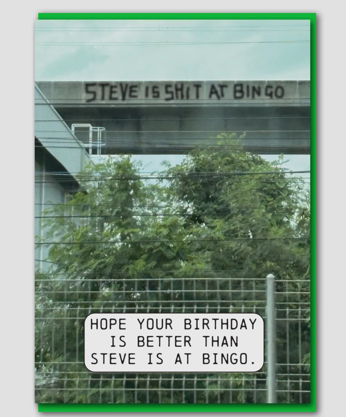 Bingo Steve Birthday Card