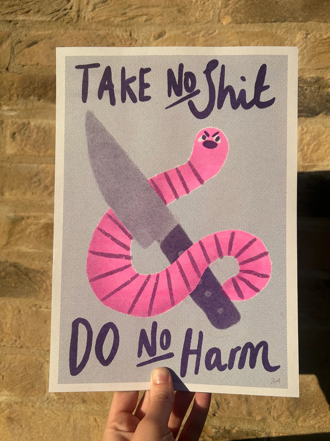 Take No Shit Worm Riso Print