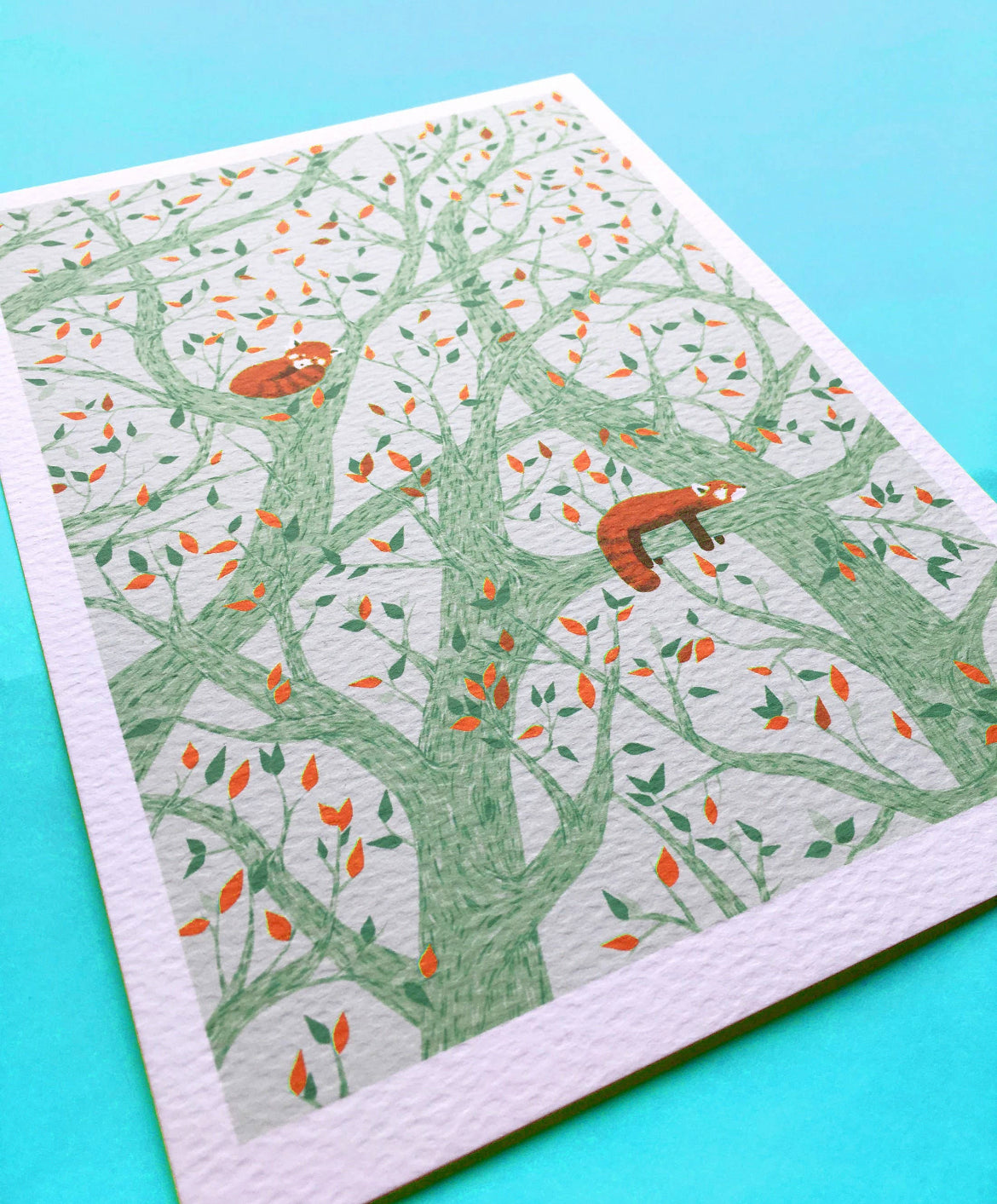 Snoozing Red Pandas A5 Print