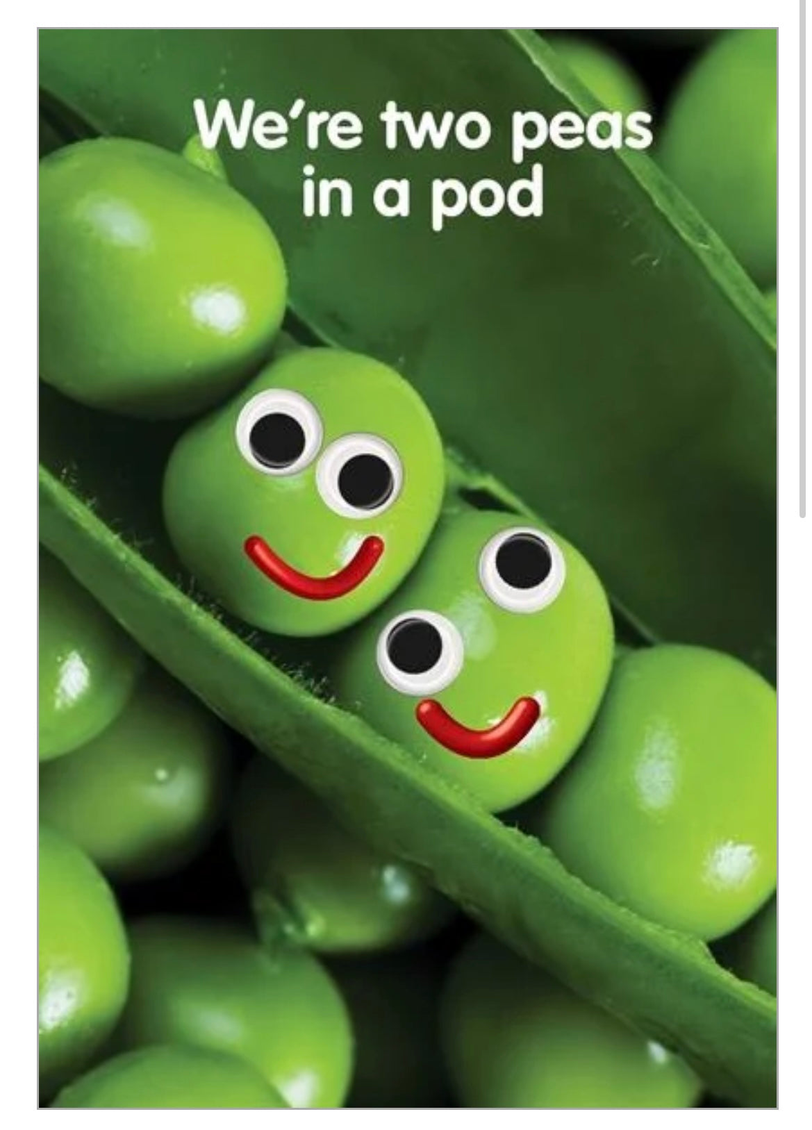 Two Peas In a Pod Card
