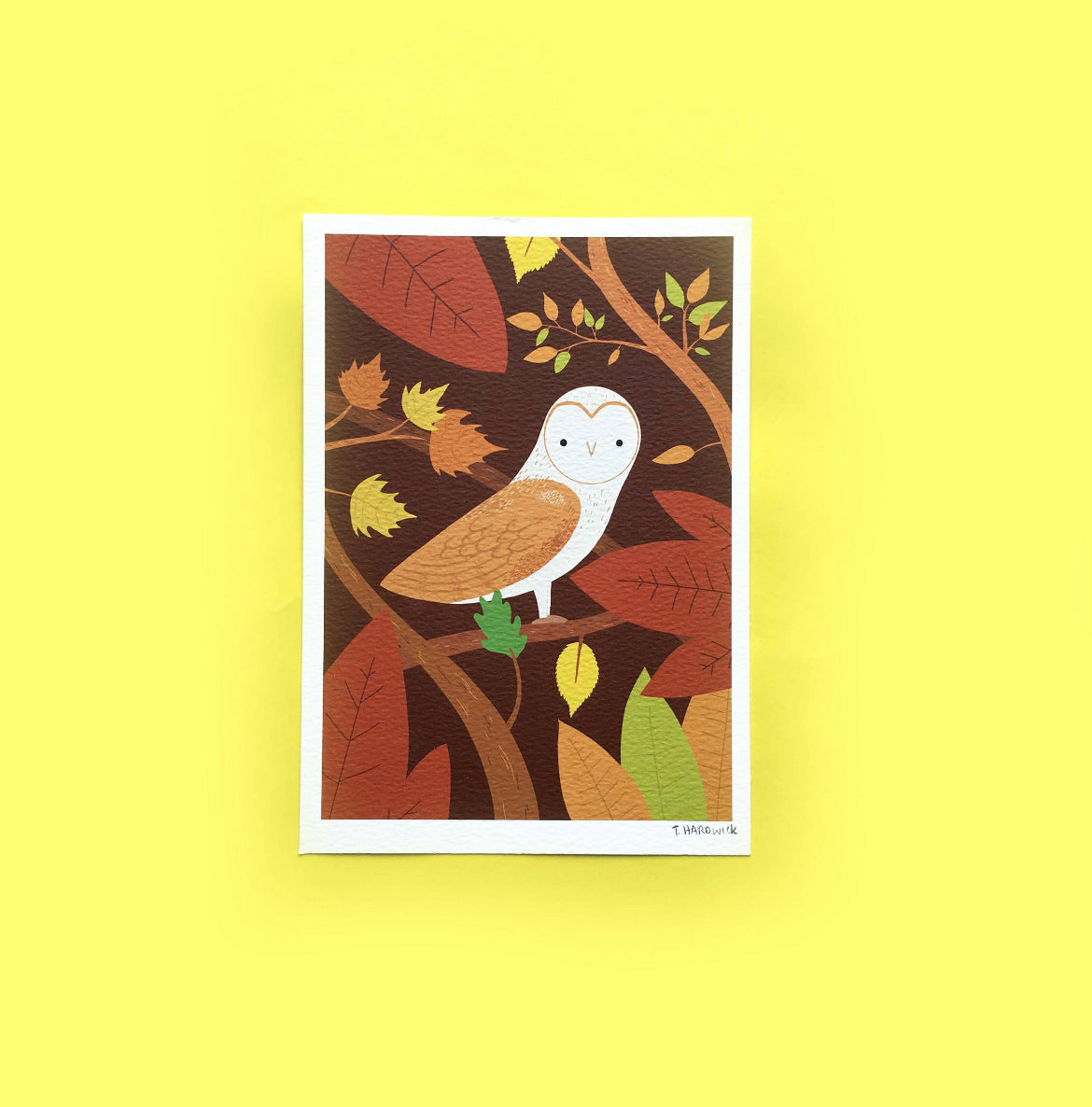 Barn Owl A5 Print